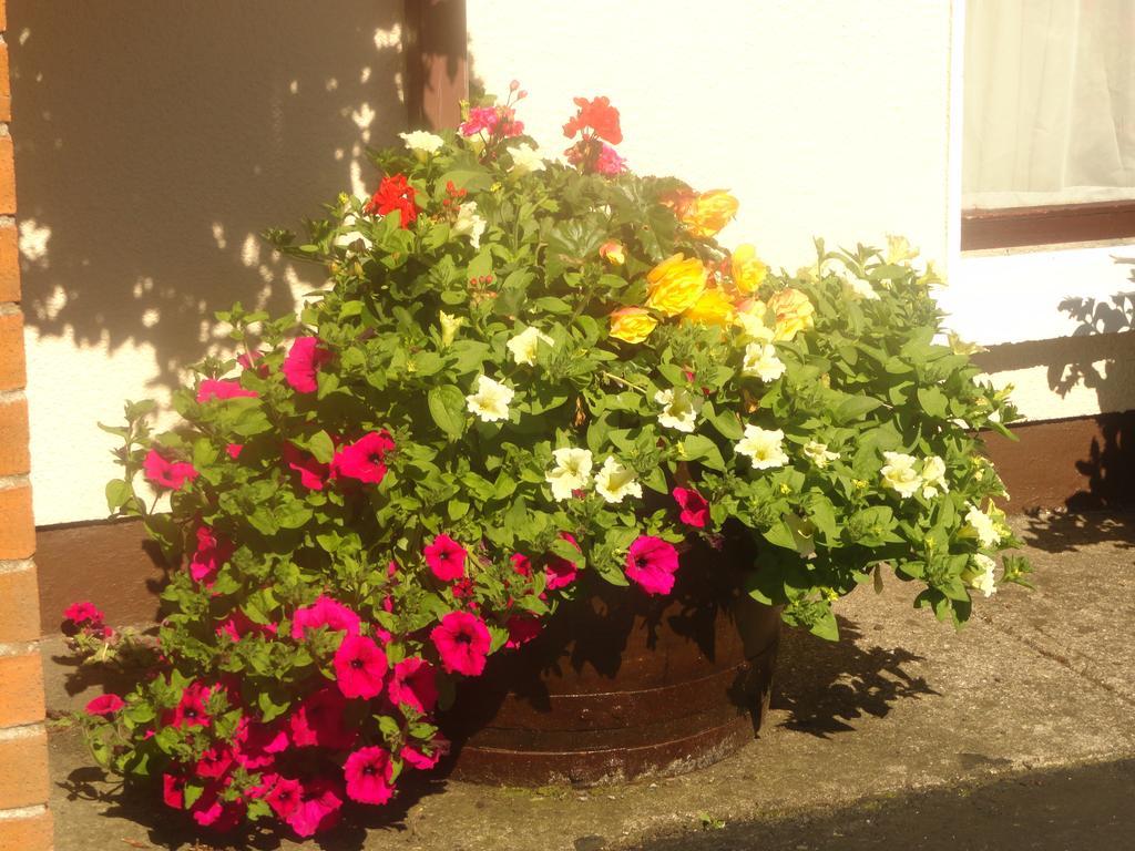 Orley House B&B Drogheda Luaran gambar