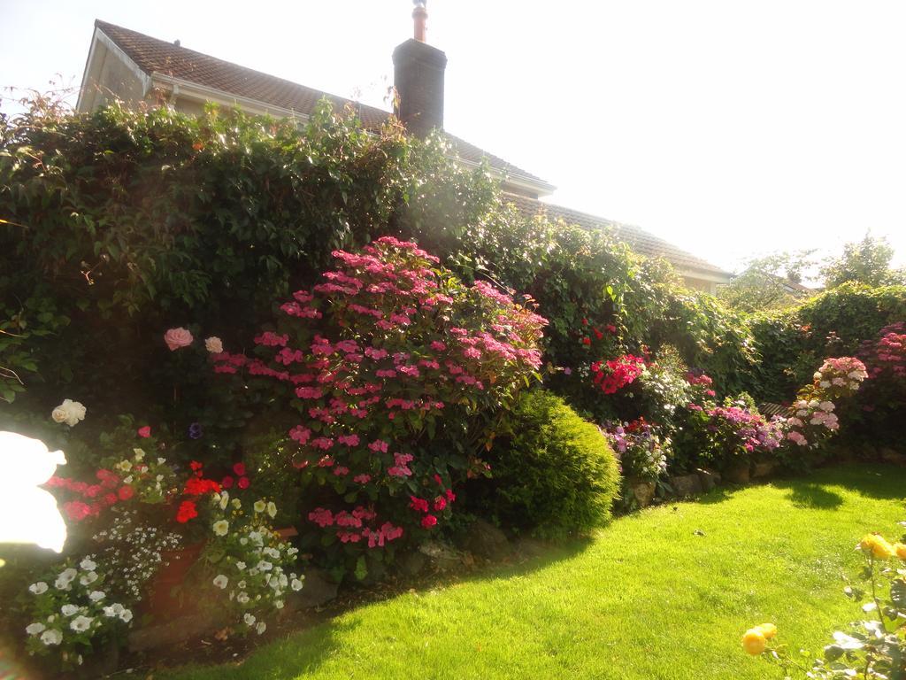 Orley House B&B Drogheda Luaran gambar